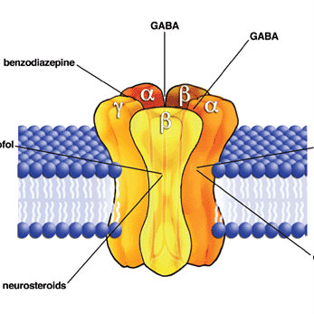 celula benzodiacepinas